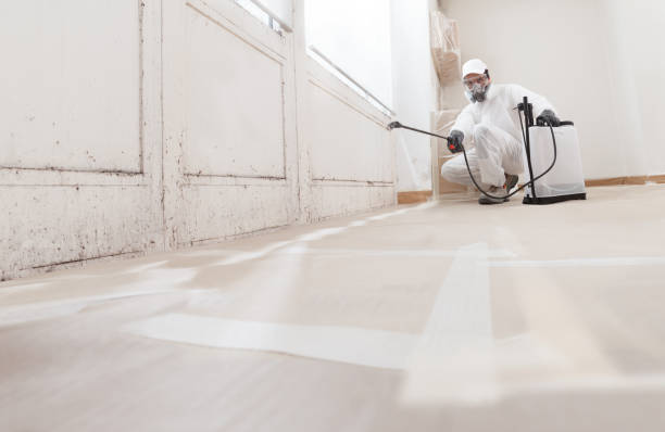 24/7 Emergency Mold Remediation experts in Occoquan, VA