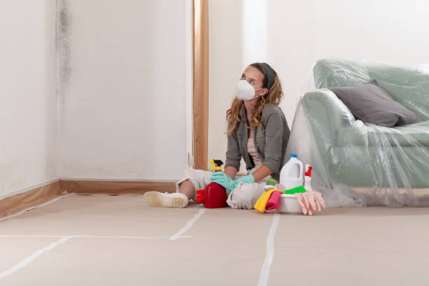 Reliable Mold Remediation contractor in Occoquan, VA by 24 Hour Mold Removal